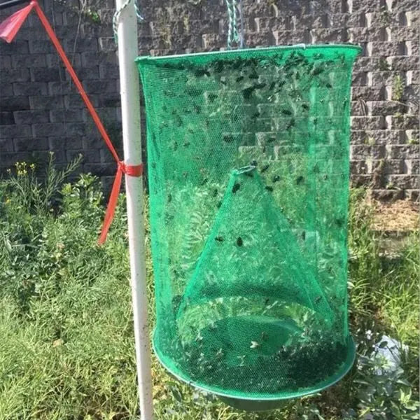 Capcana reutilizabilă pentru insecte - INSECTA