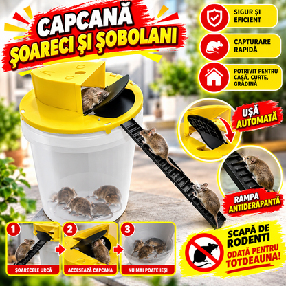 Capcana pentru Soareci - MOUSETRAP