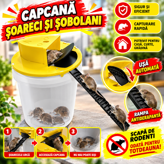 Capcana pentru Soareci - MOUSETRAP