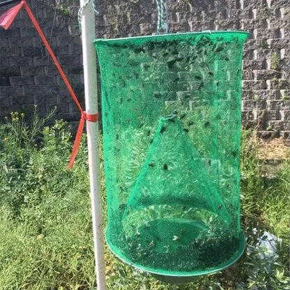 Capcana reutilizabilă pentru insecte - INSECTA