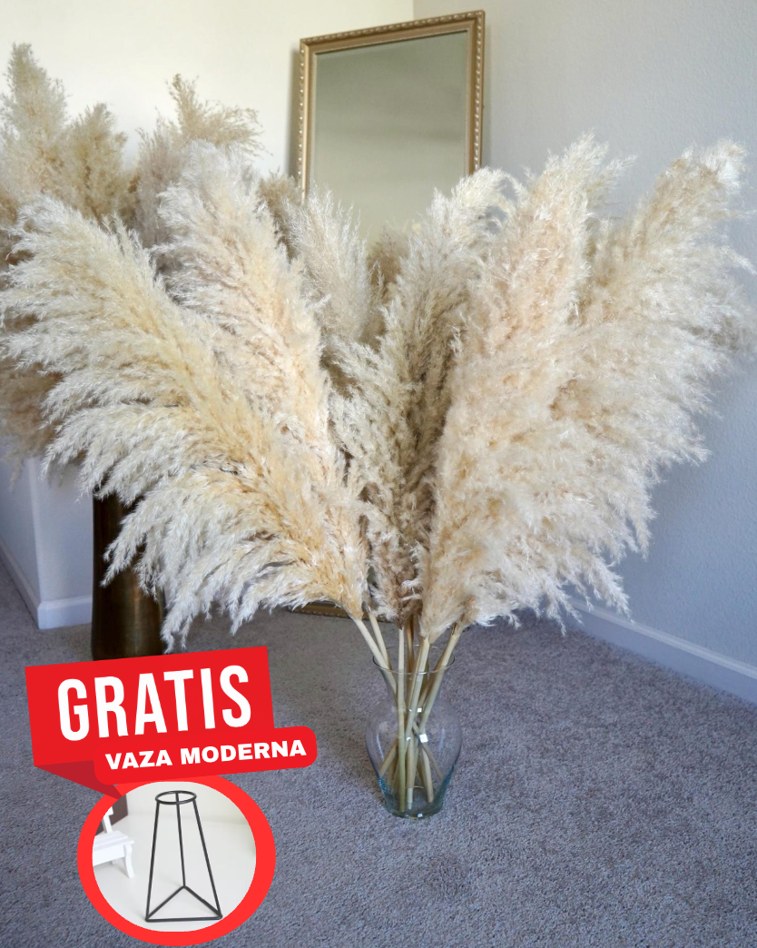 Large Pampas Grass uscat, calitate premium, pentru decoruri (+ O VAZǍ GRATUIT)