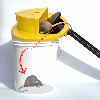Capcana pentru Soareci - MOUSETRAP