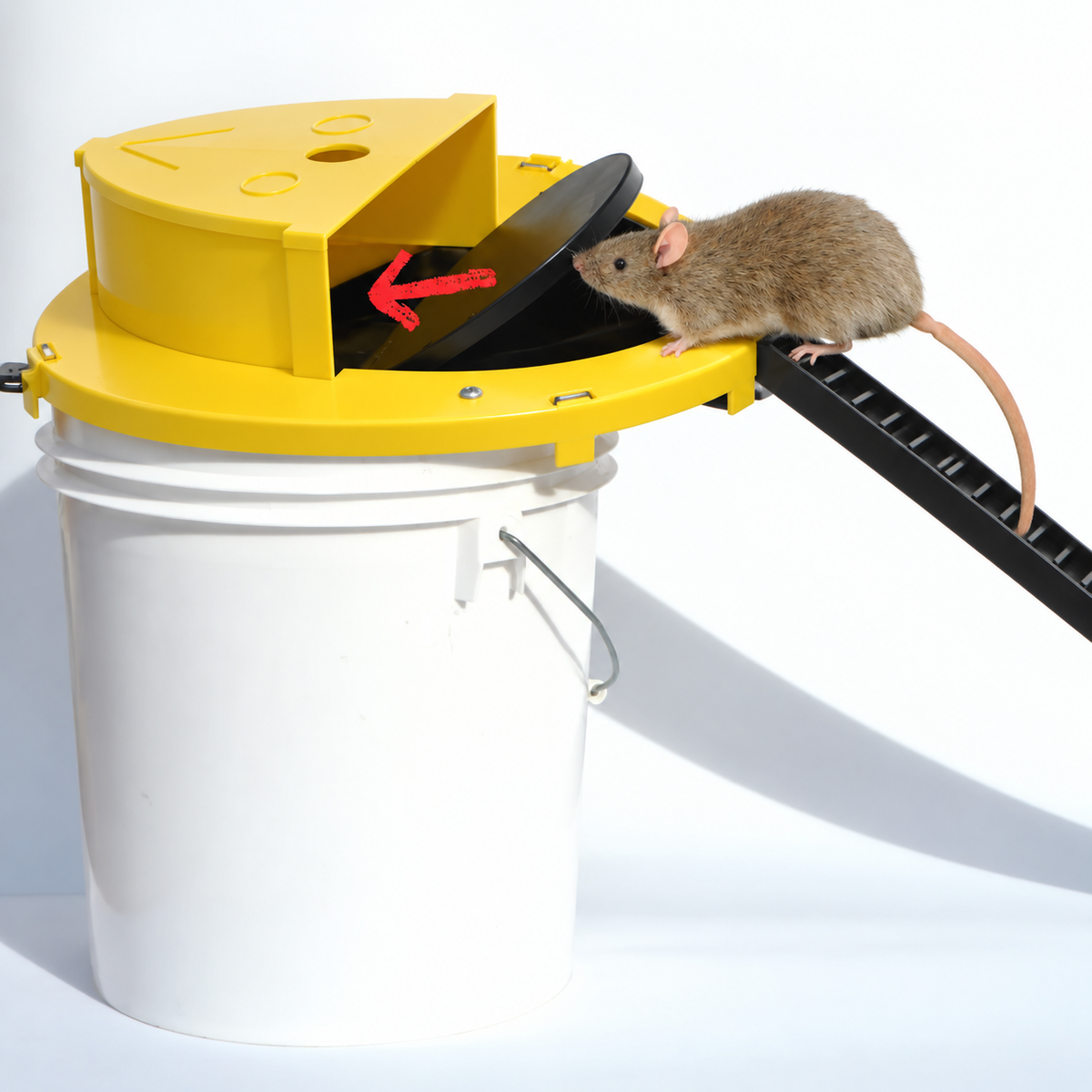 Capcana pentru Soareci - MOUSETRAP