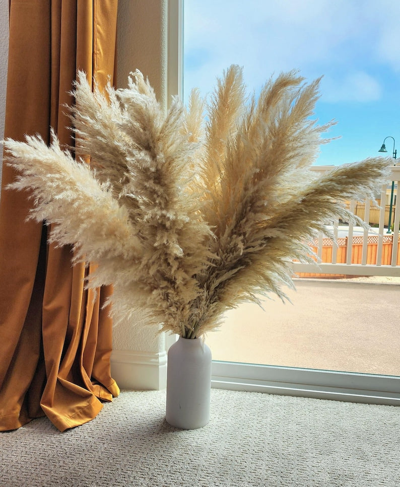 Large Pampas Grass uscat, conservat natural, 100cm, calitate premium, pentru decoruri