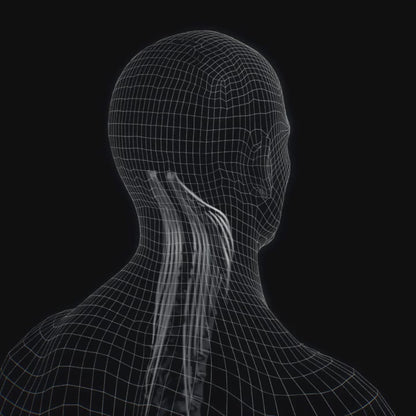 Perna cu spuma de memorie, reduce sforaitul, relaxeaza caile respiratorii