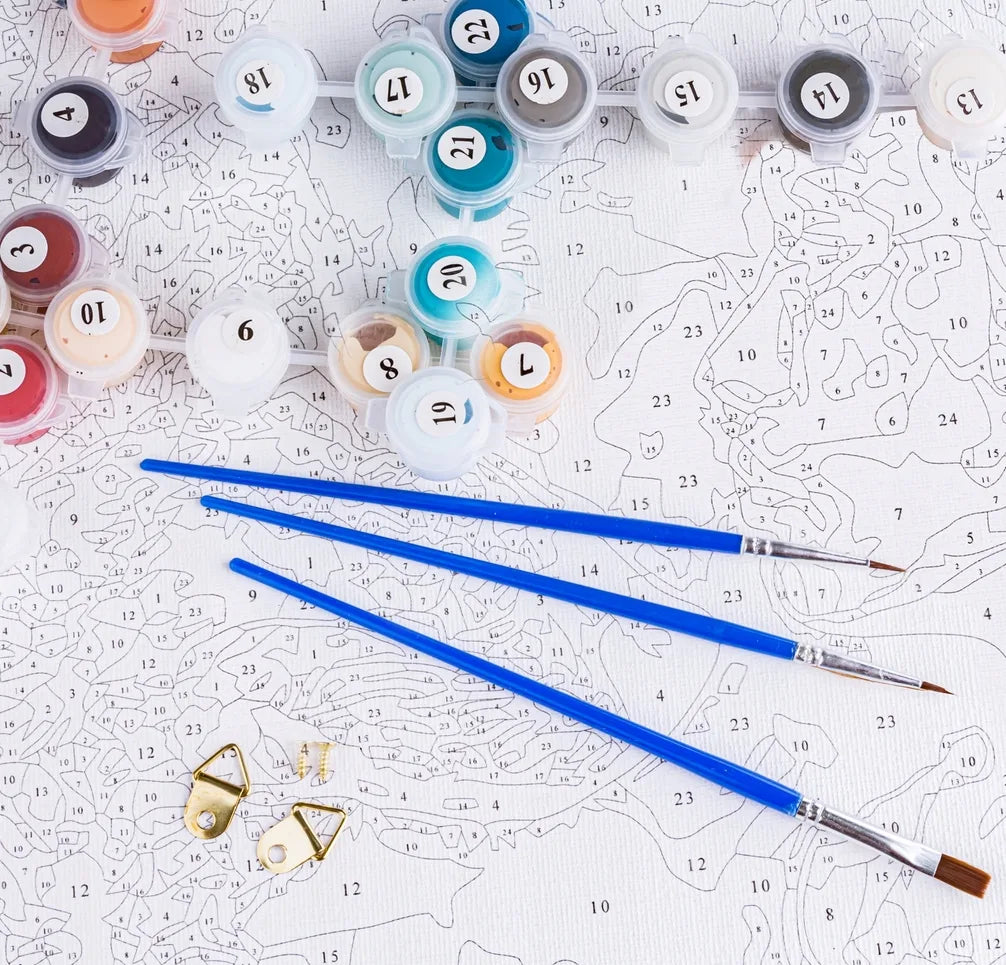 Set de pictură pe numere