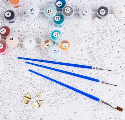 Set de pictură pe numere