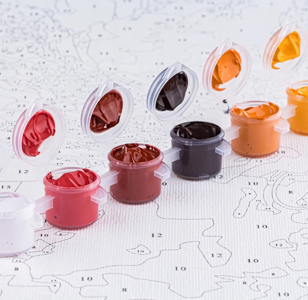 Set de pictură pe numere