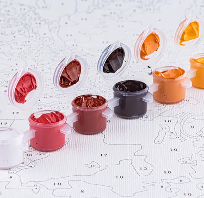 Set de pictură pe numere